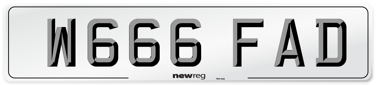 W666 FAD Number Plate from New Reg